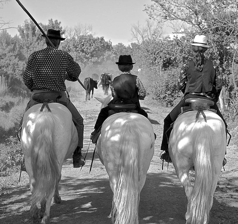 サントマリー・ド・ラメールにあるMas du Menage en Camargue Manade Clauzelのギャラリーの写真