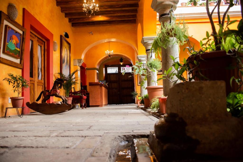 Fotografie z fotogalerie ubytování Los Arrayanes v destinaci Oaxaca