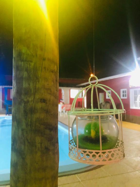  Melhor Pousada com Piscina em Búzios aceita pet grátis -dog-