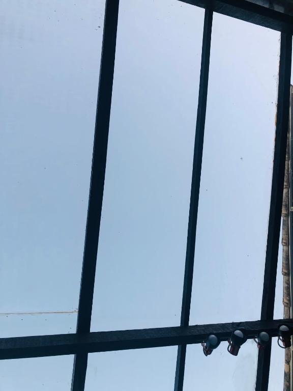  Melhor Pousada com Piscina em Búzios aceita pet grátis -dog-