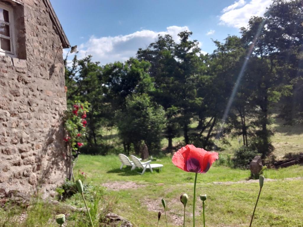 Superbe Moulin au bord d'une riviere, au calme, avec piano - Housity
