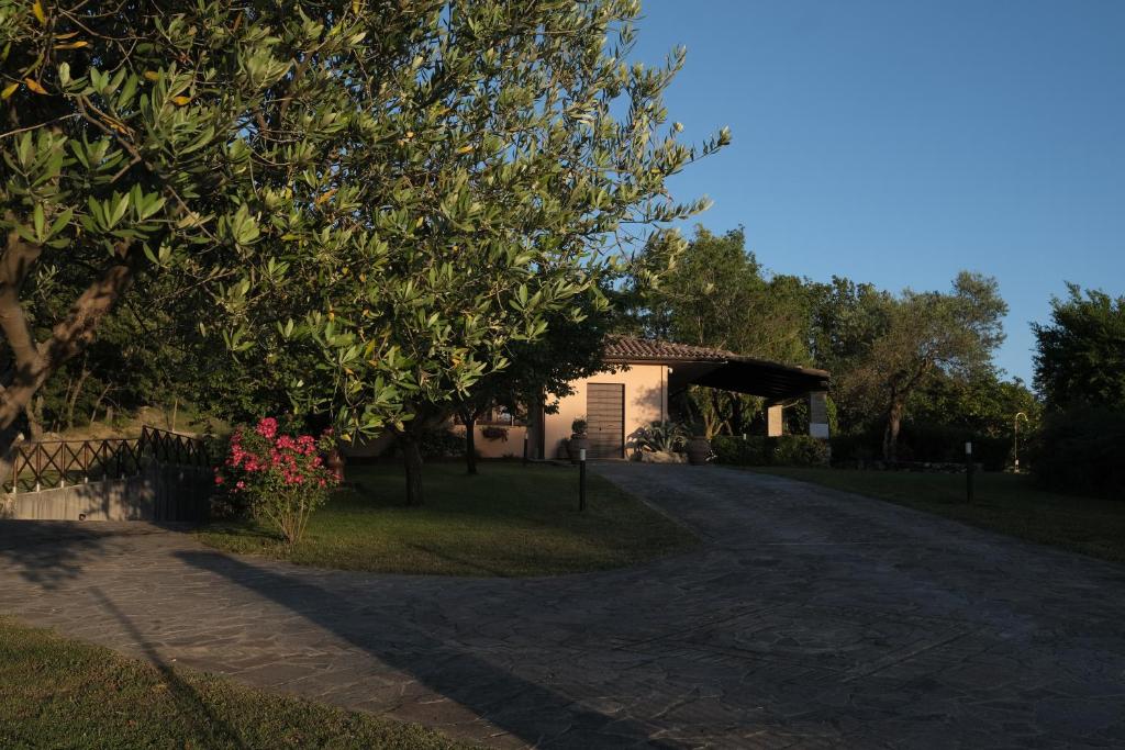 Ogród w obiekcie casa vacanze Colonnata