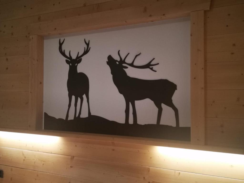 Zvířata v hotelu nebo okolí