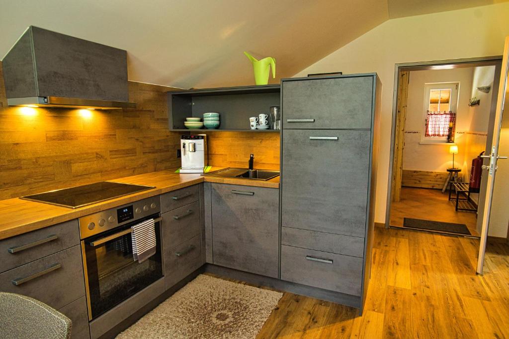 Kuchyňa alebo kuchynka v ubytovaní Appartement Sandra