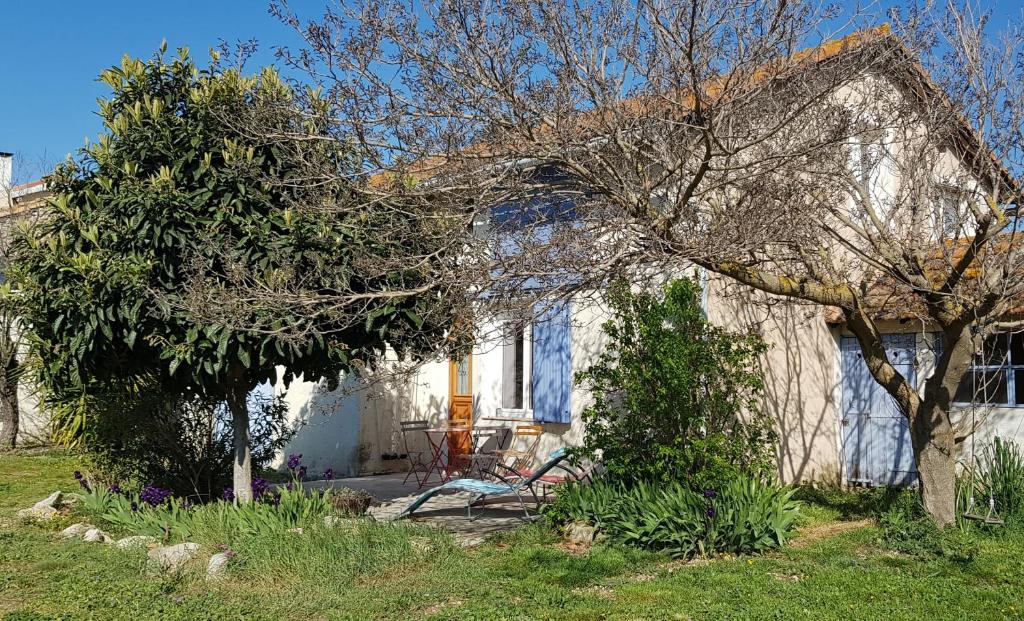 a white house with a tree in front of it at Petite maison refaite à neuf dans mas du 19ème siècle in Arles