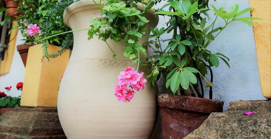 Casona Granado, El Pilar y Provincias – Precios 2022 actualizados