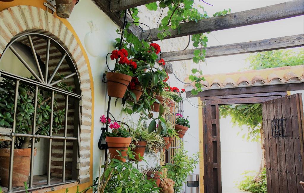 Zahrada ubytování Casona Granado