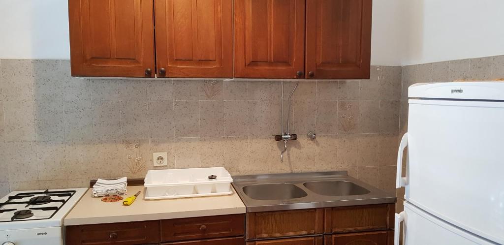 Kuchyň nebo kuchyňský kout v ubytování Apartmani Ivanka Simuni
