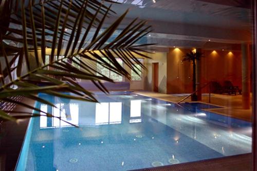 a swimming pool with a palm tree in a building at Wyspa Mszanka in Mszana Dolna