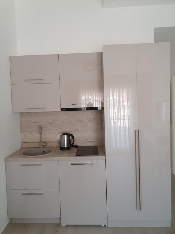 Kuchyň nebo kuchyňský kout v ubytování Apartments Boreta