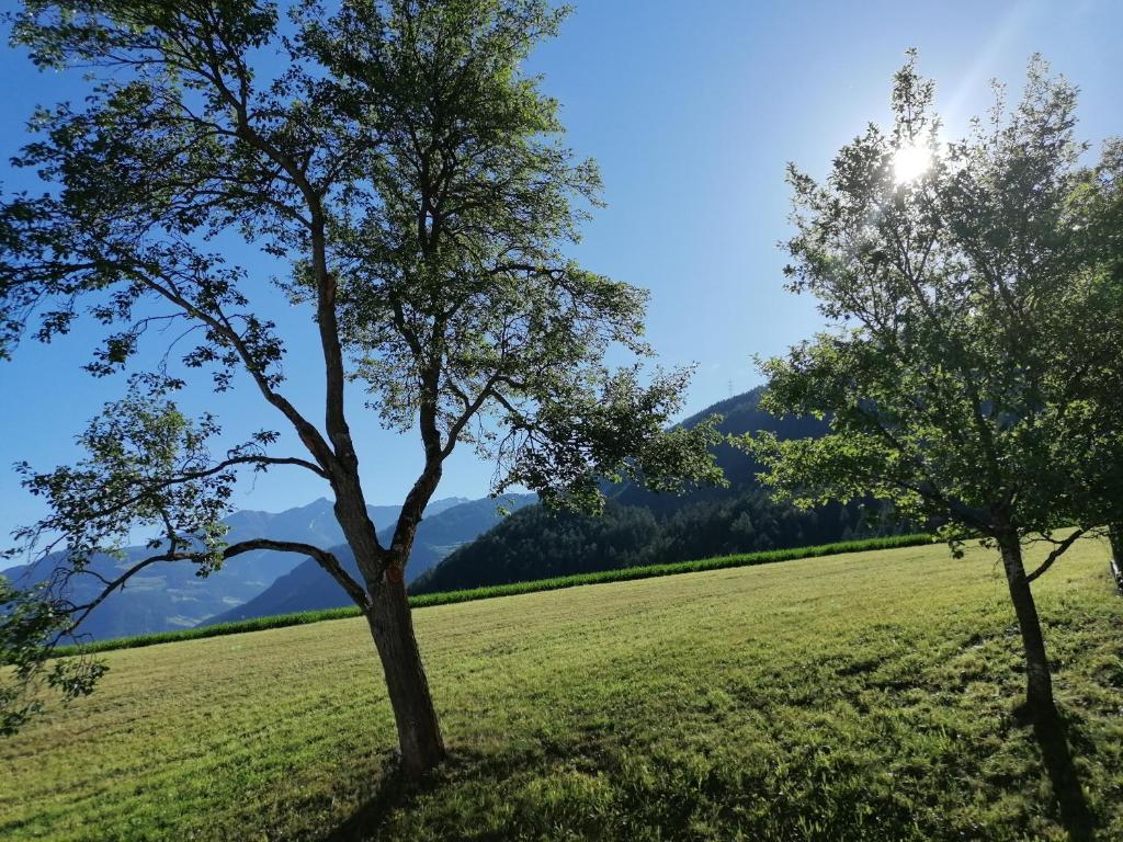 Príroda v okolí apartmánu