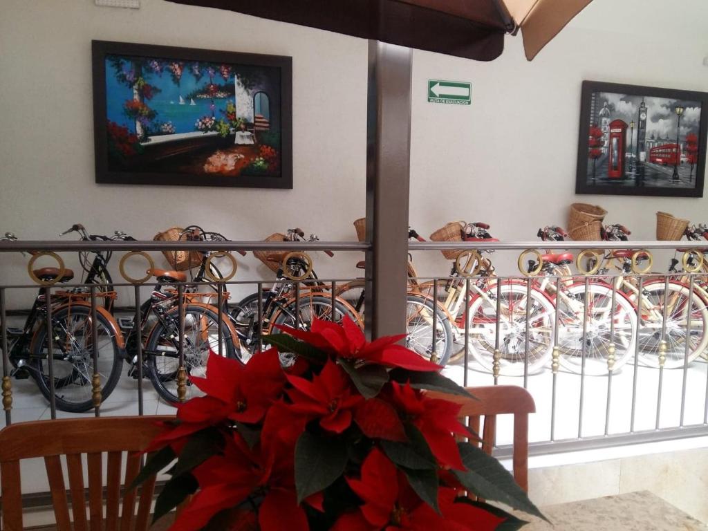Fotografie z fotogalerie ubytování Hotel SanJo v destinaci San José Iturbide