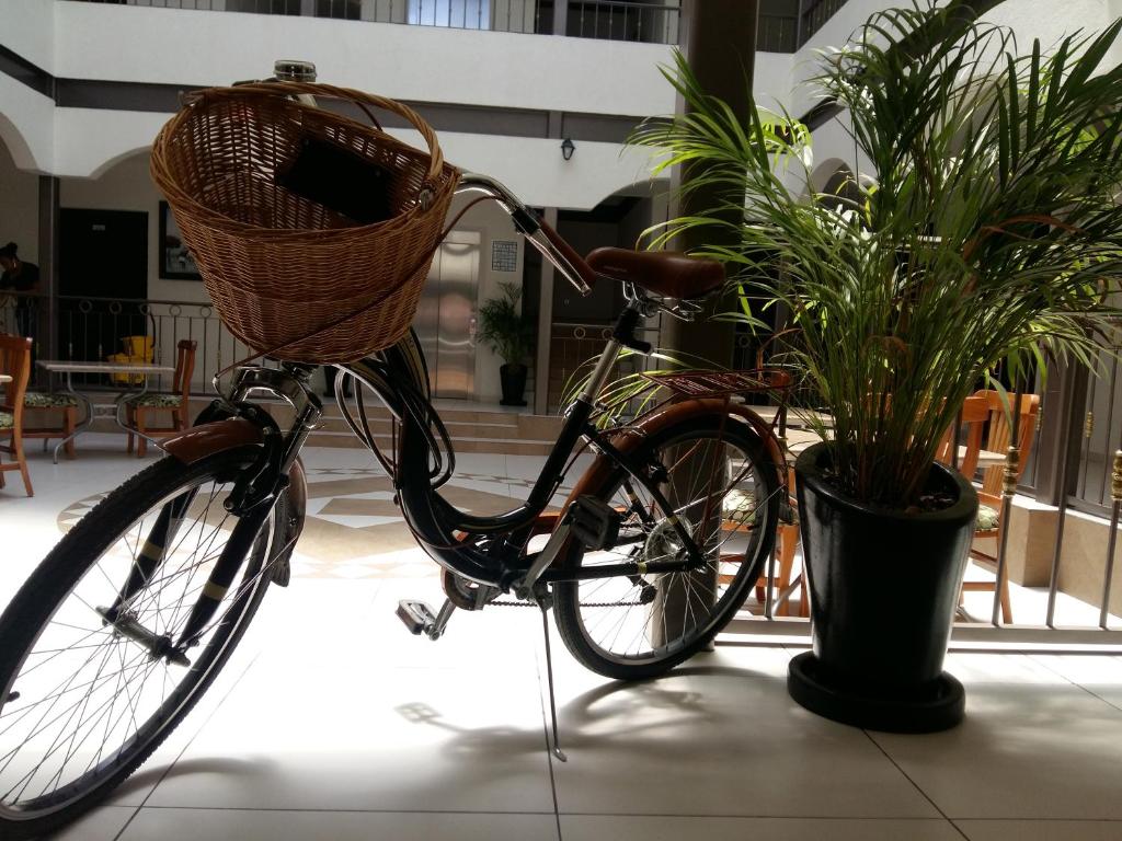 Jízda na kole v ubytování Hotel SanJo nebo okolí