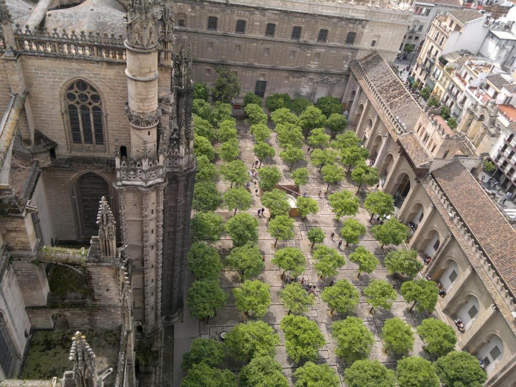 A garden outside CARLOS APARTAMENTo