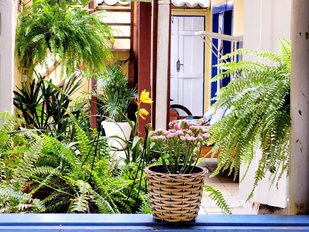  Suíte próximo ao centro histórico 6