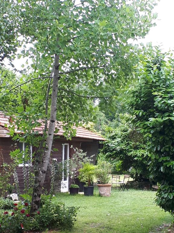 ein Haus mit einem Baum vor einem Hof in der Unterkunft L’escale côté jardin in Saint-Laurent-de-Médoc