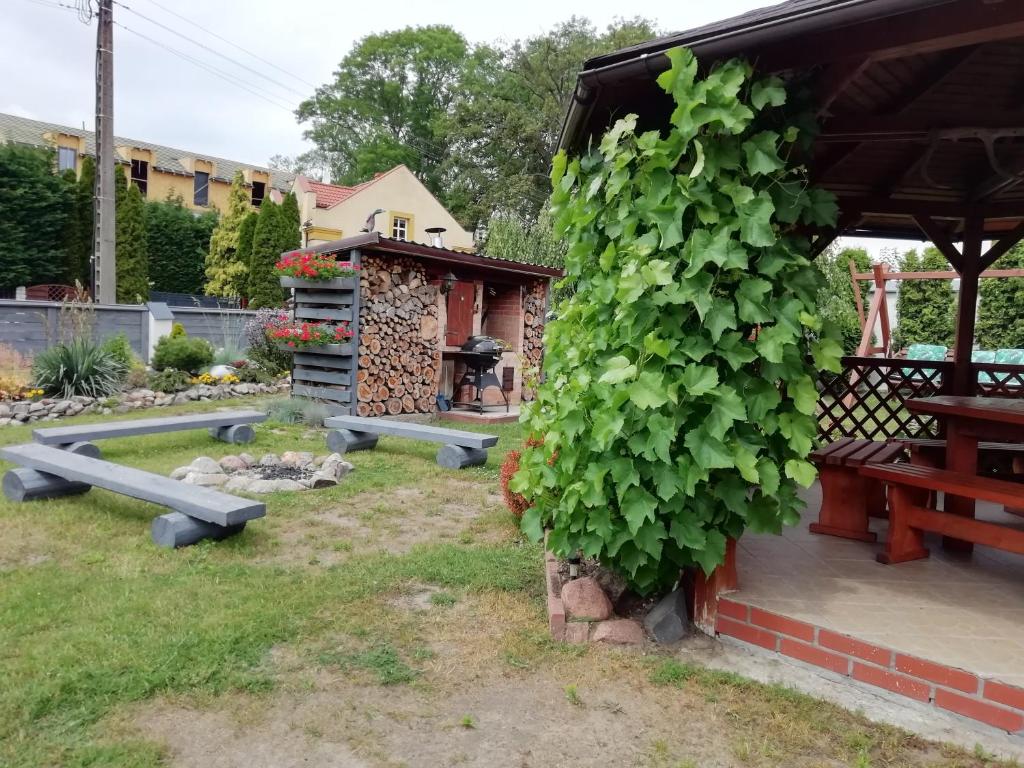 Vonkajšia záhrada v ubytovaní Apartamenty Kołczewo