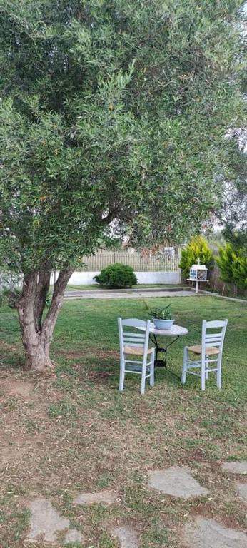 A garden outside Elia by the sea