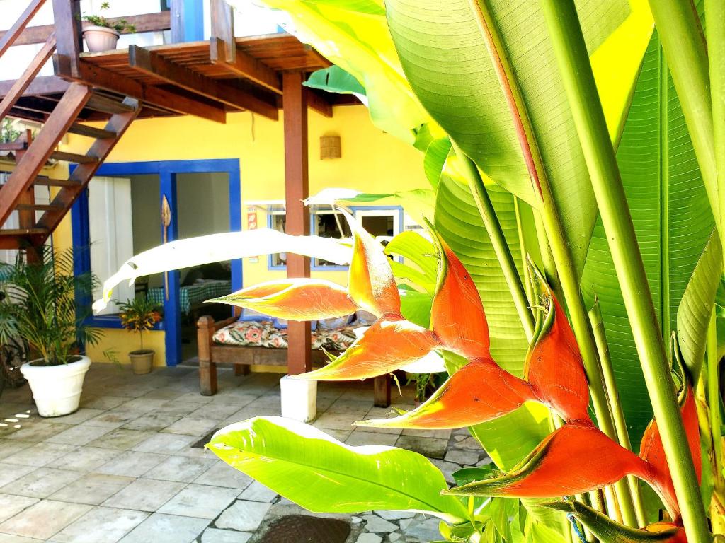  Suíte próximo ao centro histórico 6