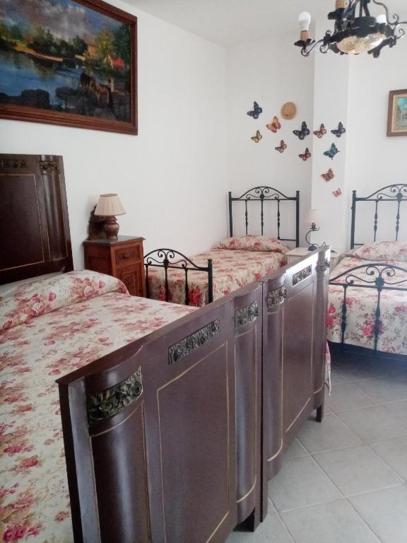 La vecchia fattoria - 6