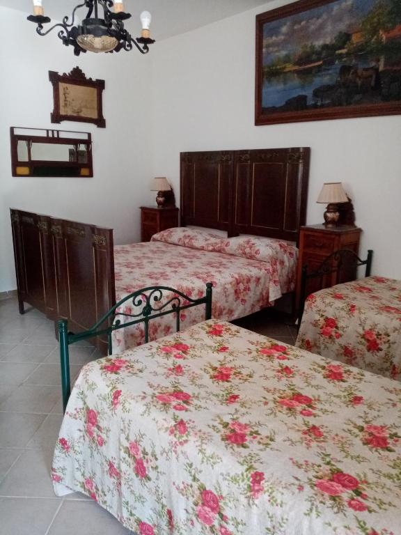 La vecchia fattoria - 7