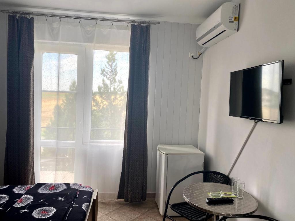 TV a/nebo společenská místnost v ubytování Vila Sofia