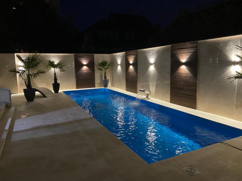 a swimming pool in a room with lights and plants at Boutique Damiani in Sibiu