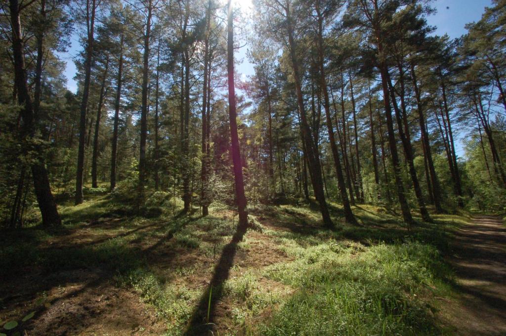Príroda v okolí apartmánu