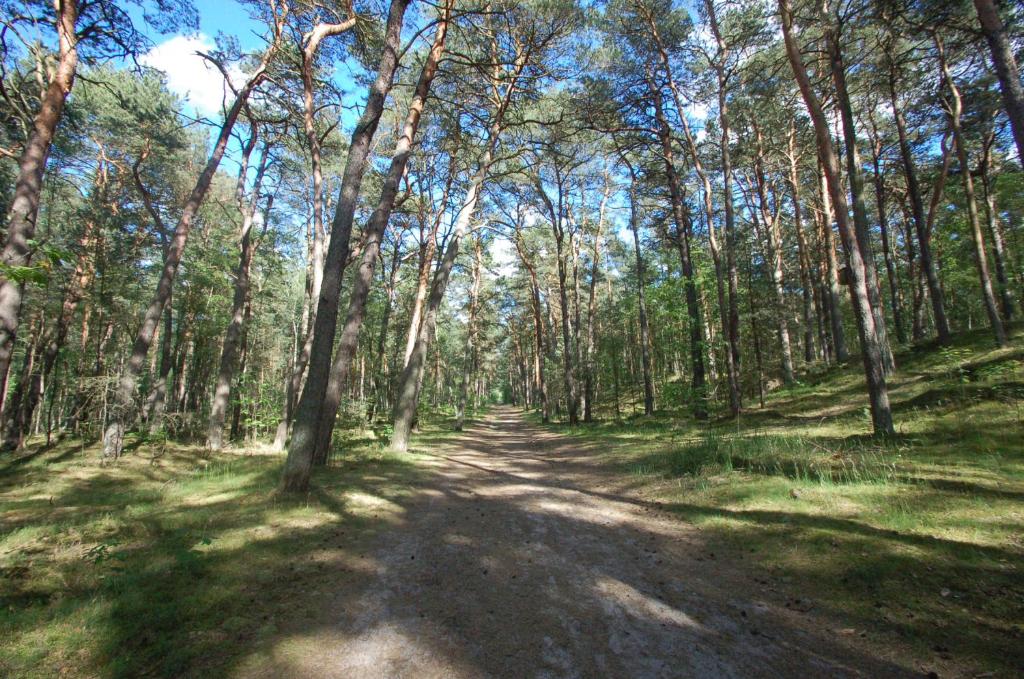 Príroda v okolí apartmánu