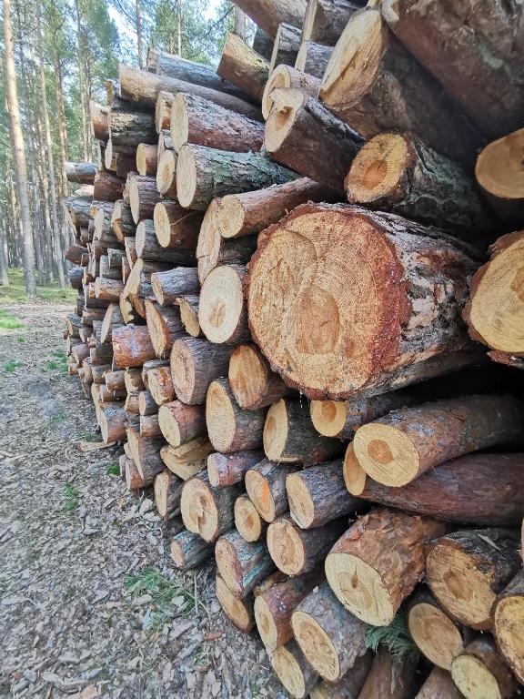 Fotografia z galérie ubytovania M&K Apartamenty Zielony Zakątek - Sobieszewo v destinácii Gdansk