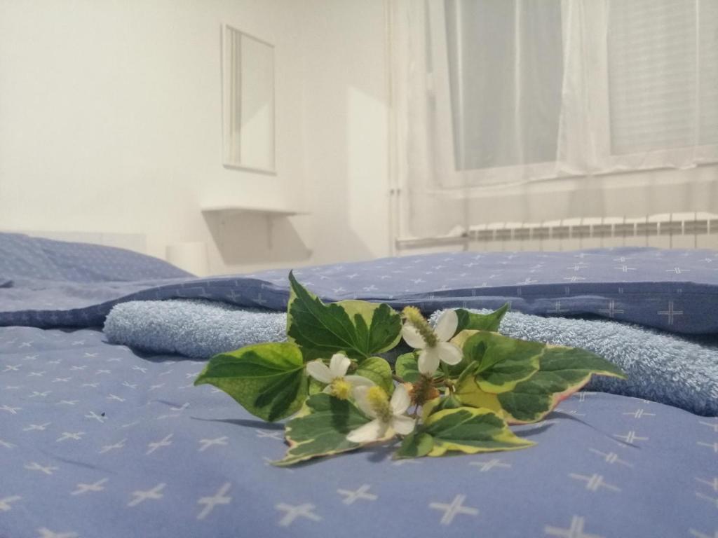 Postel nebo postele na pokoji v ubytování Apartman Nana Jagodina