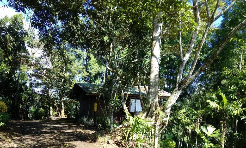 a small cabin in the woods with trees at Pochotel Natural in Turrialba