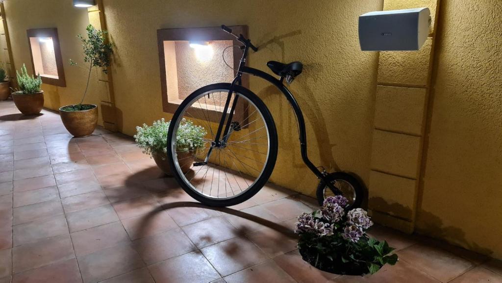 Jízda na kole v ubytování Golden House Apartments nebo okolí