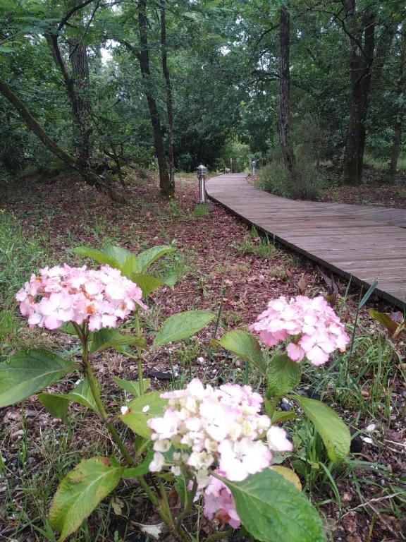 Les Roulottes Vesta Leognan Updated 21 Prices