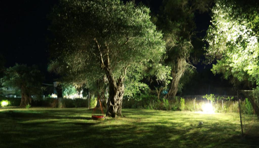 Fotografie z fotogalerie ubytování Ktima Theofilos - Frideriki v destinaci Petrití