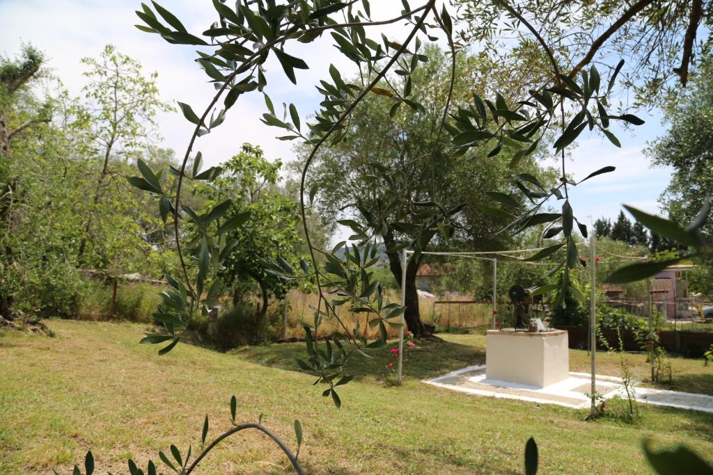 Fotografie z fotogalerie ubytování Ktima Theofilos - Frideriki v destinaci Petrití