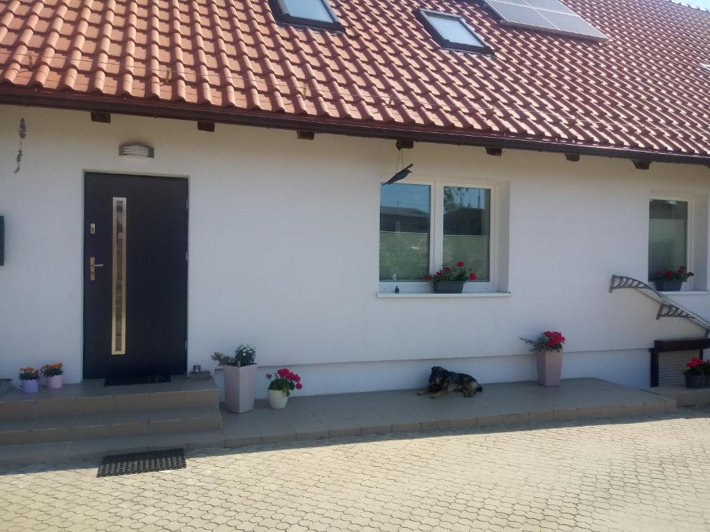 Budova, v ktorej sa apartmán nachádza