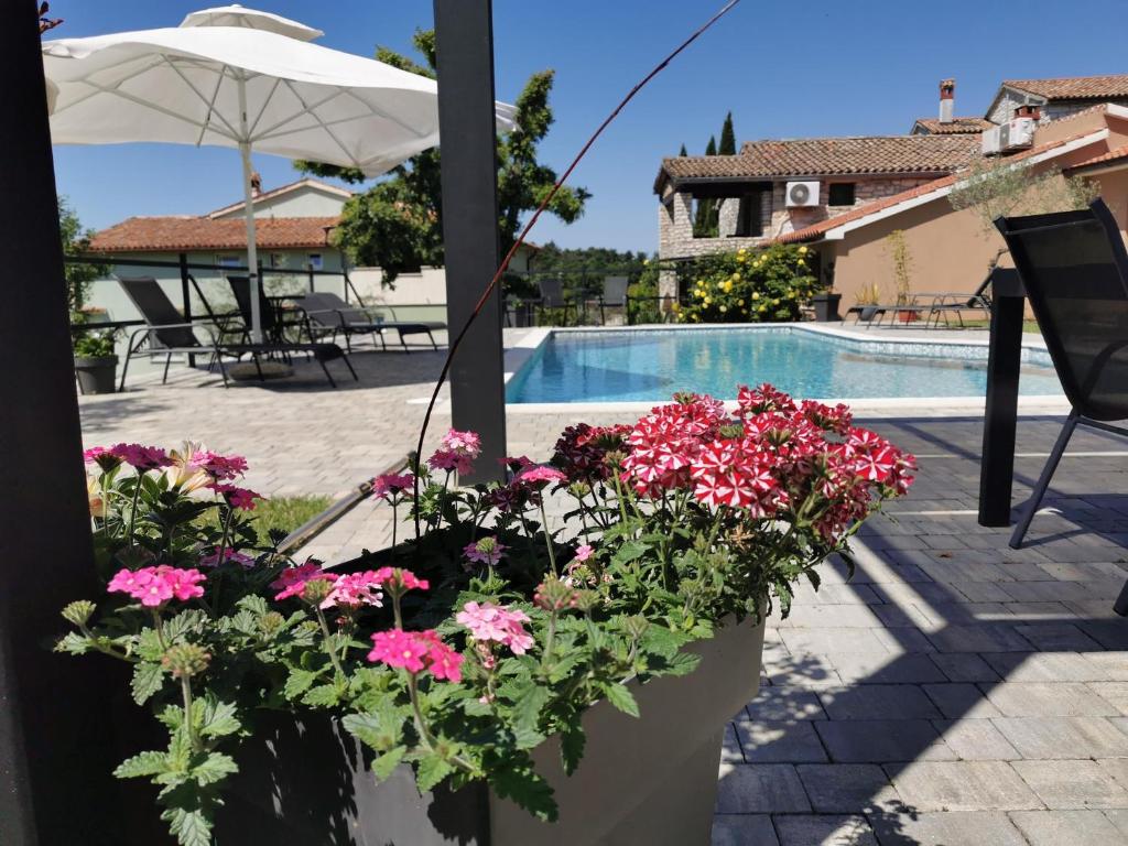 une terrasse fleurie et une piscine dans l'établissement Apartments Bertetić, à Kanfanar