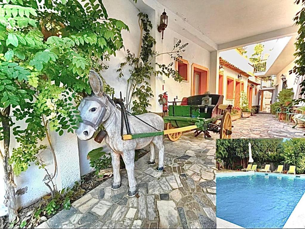 a picture of a donkey pulling a cart in front of a house at Ria Studios in Olhão