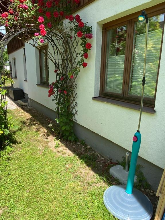 Aed väljaspool majutusasutust Haus Belli