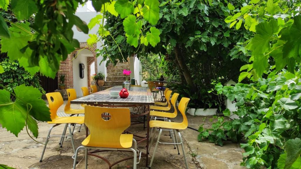 a table with yellow chairs in a garden at Dar Wadada in Chefchaouene