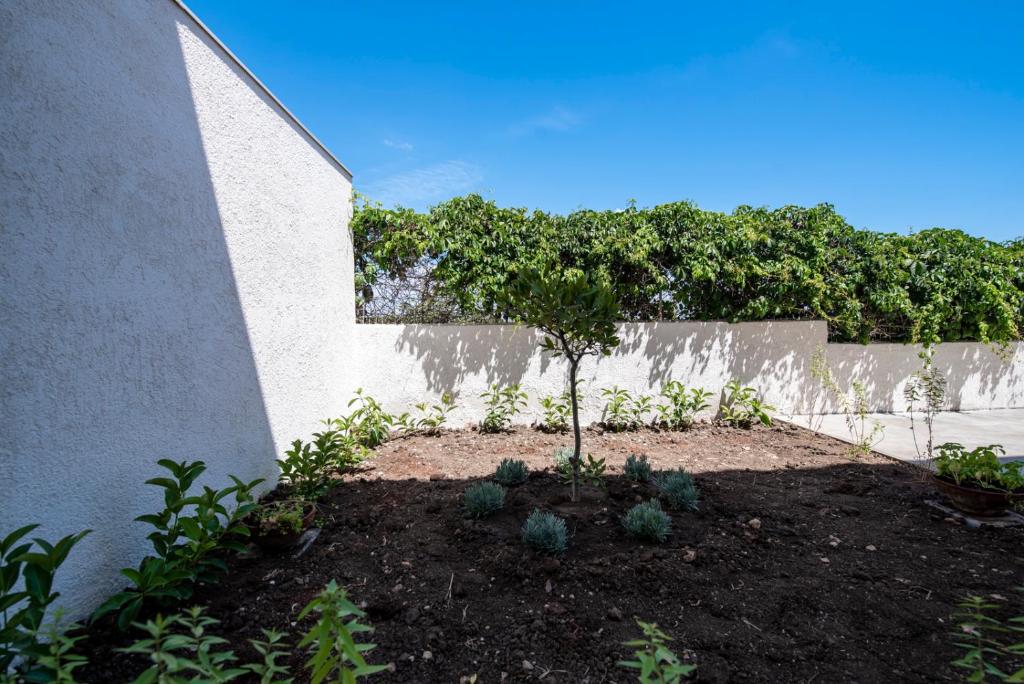 Vonkajšia záhrada v ubytovaní Charming House Truvatura - Sicilia Vacanza