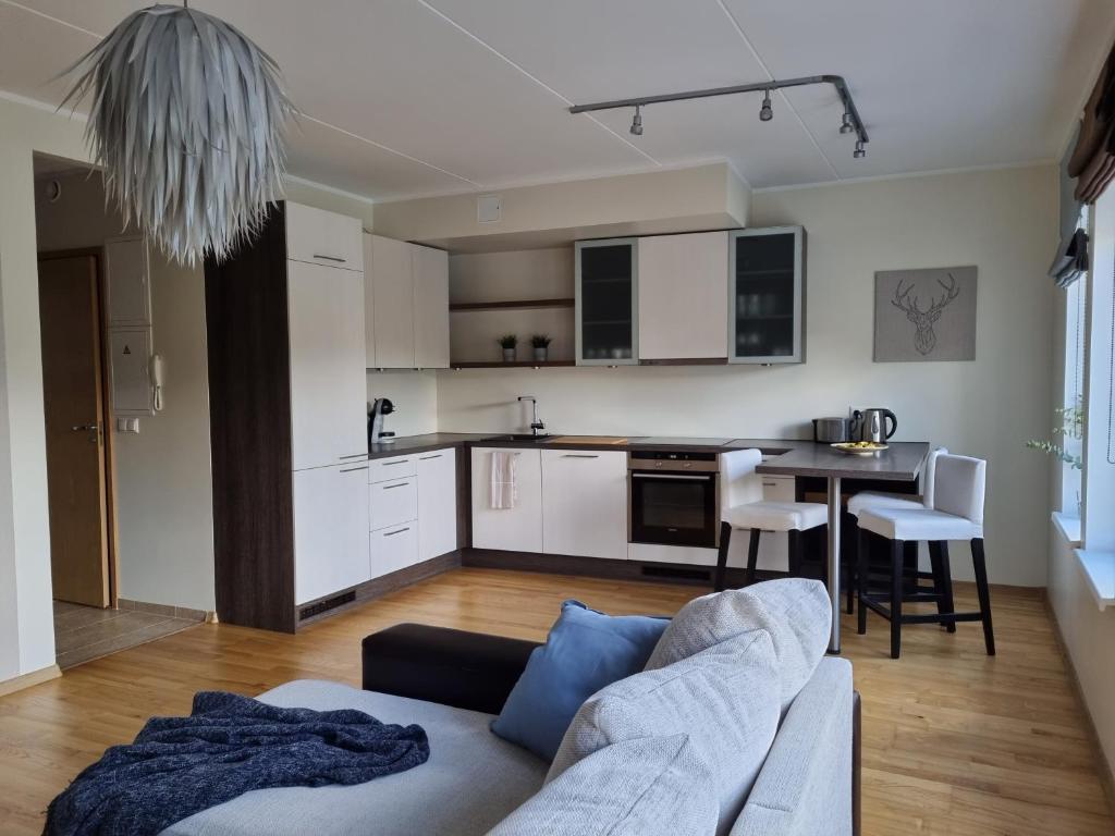 uma sala de estar com um sofá e uma cozinha em R63 Apartment with Terrace em Tartu