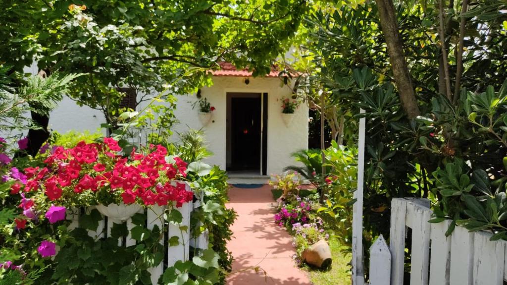 a garden with pink flowers and a white fence at La Corte delle Rose B&B in Praia a Mare