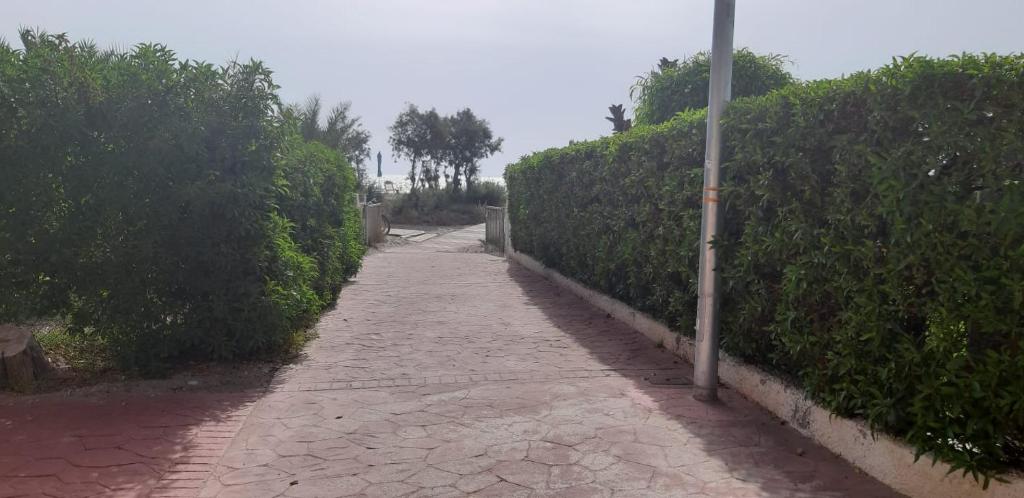 Fotografia z galérie ubytovania Estudio PREMIUM Vera Playa Naturista v destinácii Vera