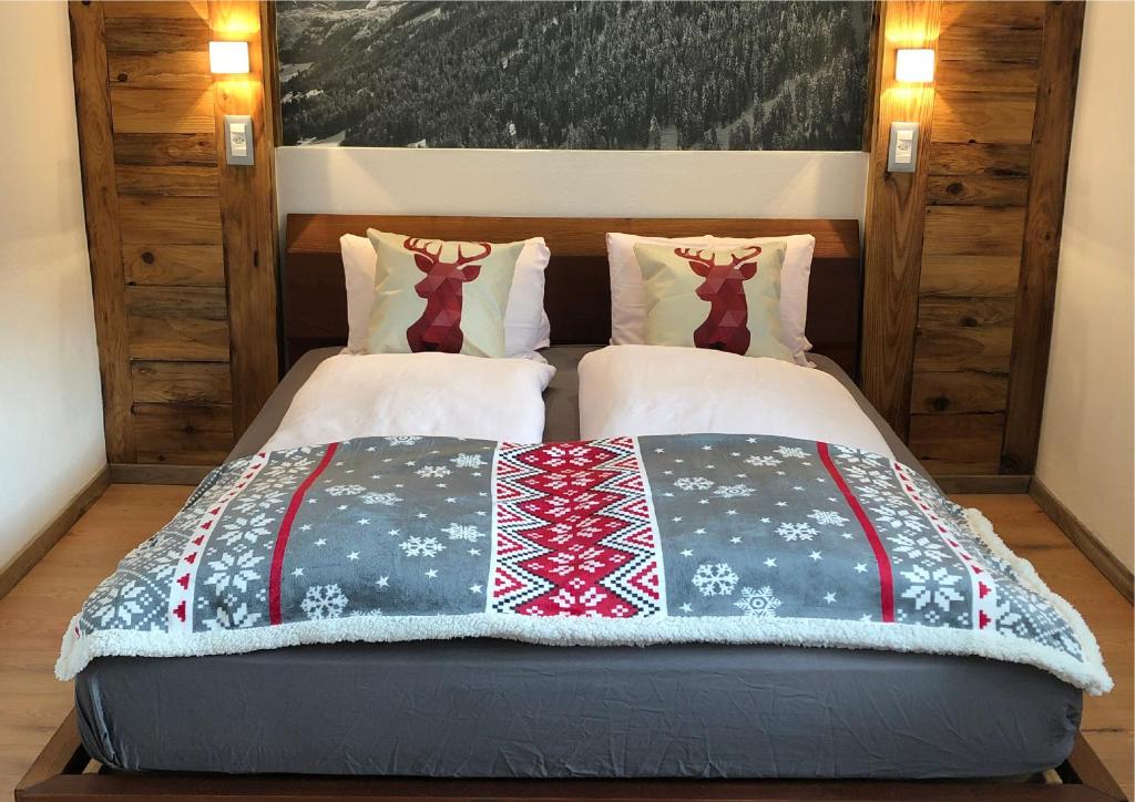 Mountain Lodge Sedrun - Budget Single Room