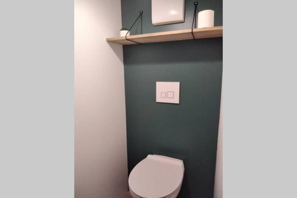 a bathroom with a white toilet and a shelf at le studio du fou in Mortagne-sur-Sèvre
