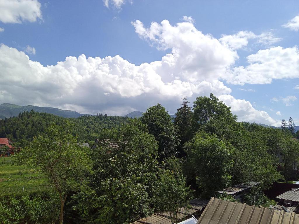 Příroda nedaleko apartmánu