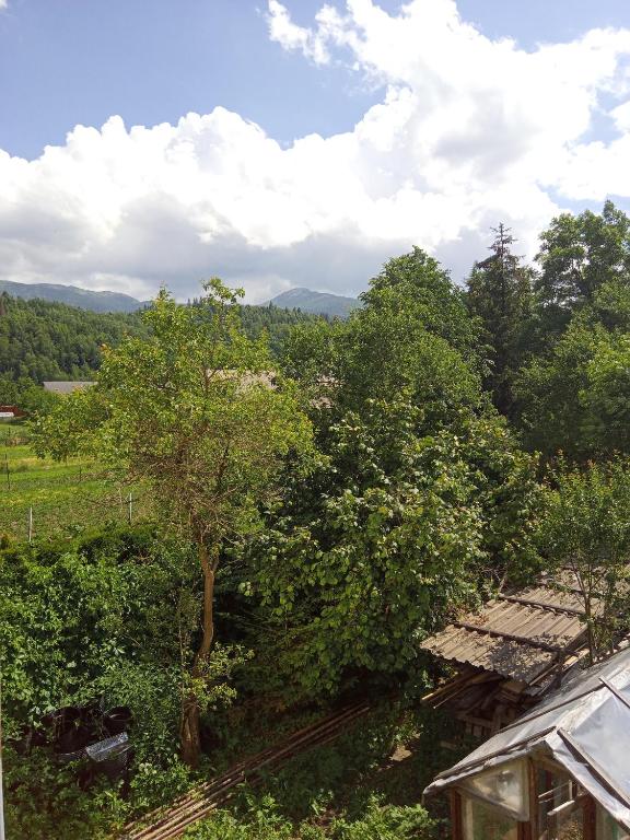 Příroda nedaleko apartmánu