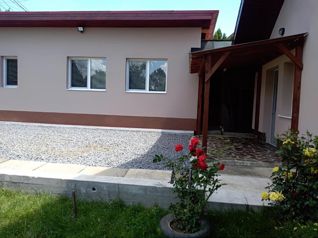 a house with a door and flowers in the yard at Casa Anda - Adult Only in Sovata